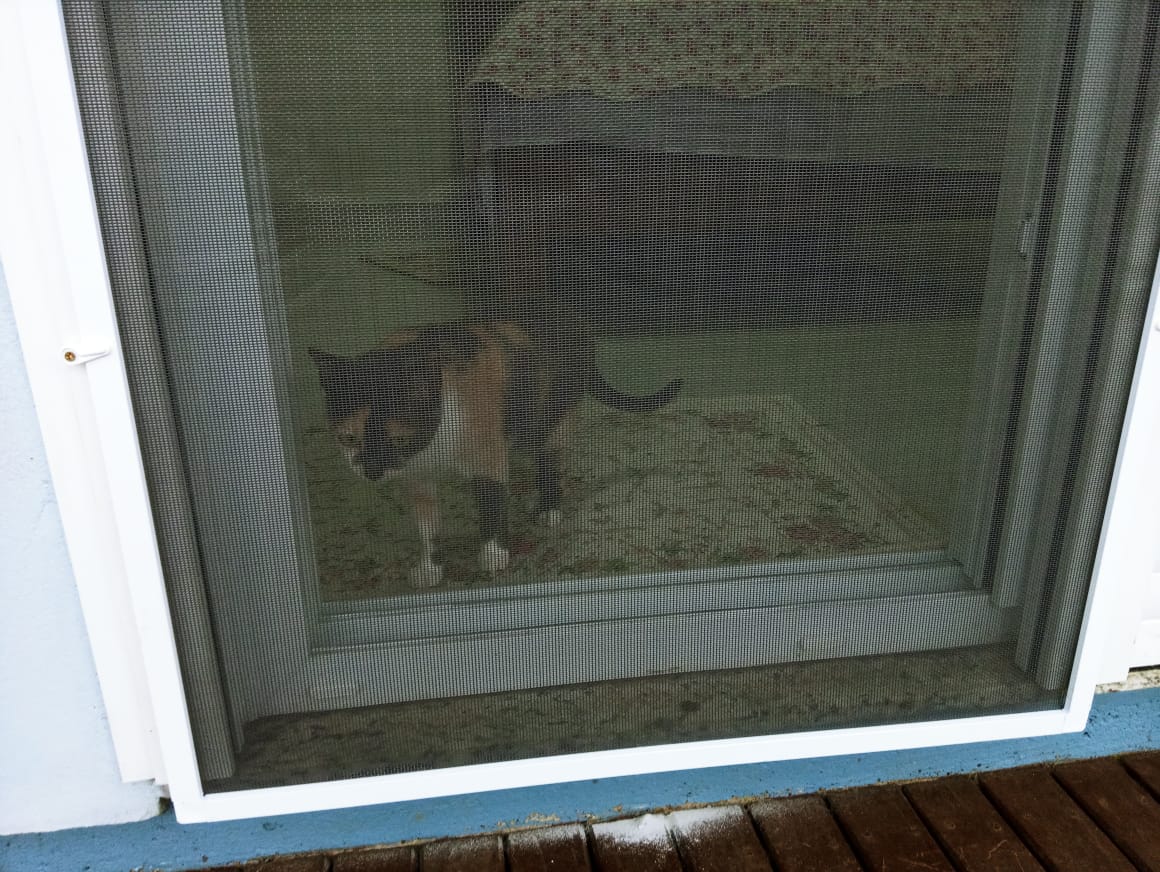 Maxin Tela/Rede para Pet